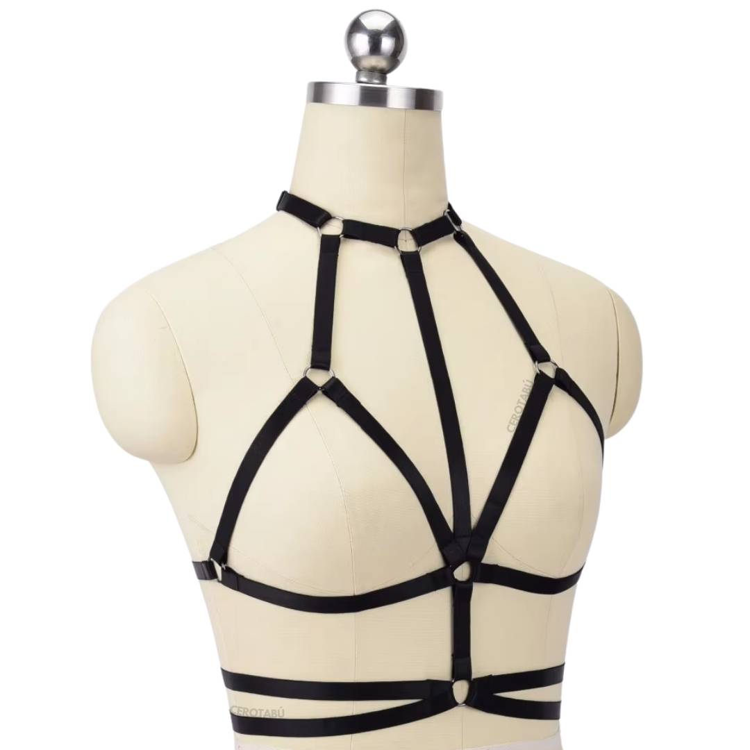 Lencería Liguero Arnés Busto
